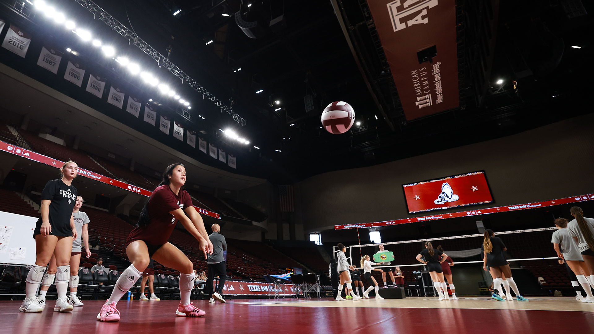 Texas A&M Volleyball Hosts Maroon and White Scrimmage at Reed Arena - News Directory 3